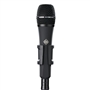Telefunken M80 Dynamic Hand Held Microphone (Black)
